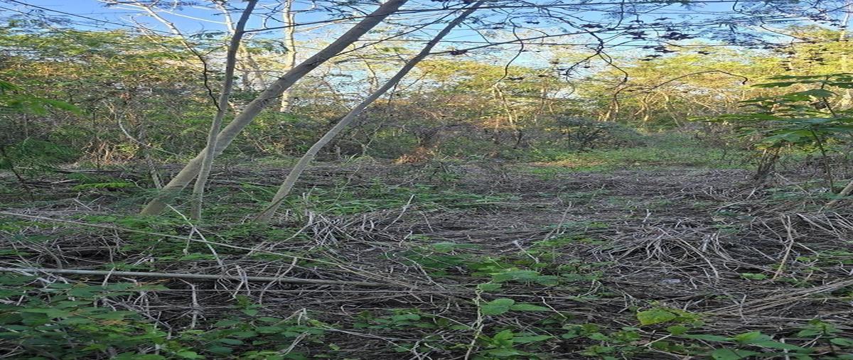 Foto de terreno habitacional en venta en s/c , chan yokdzonot, valladolid, yucatán, 29458327 No. 05