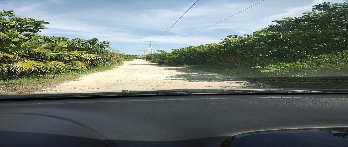 Foto de terreno habitacional en venta en s/c , chicxulub, chicxulub pueblo, yucatán, 0 No. 03