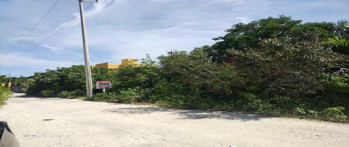 Foto de terreno habitacional en venta en s/c , chicxulub, chicxulub pueblo, yucatán, 0 No. 05