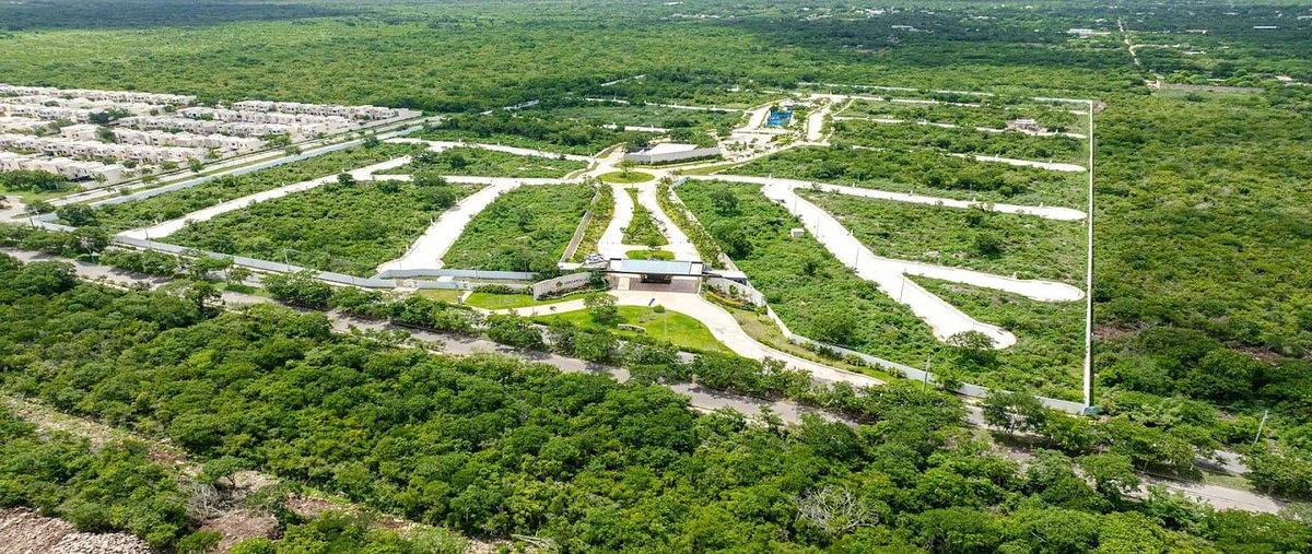 Foto de terreno habitacional en venta en s/c , cholul, mérida, yucatán, 0 No. 04