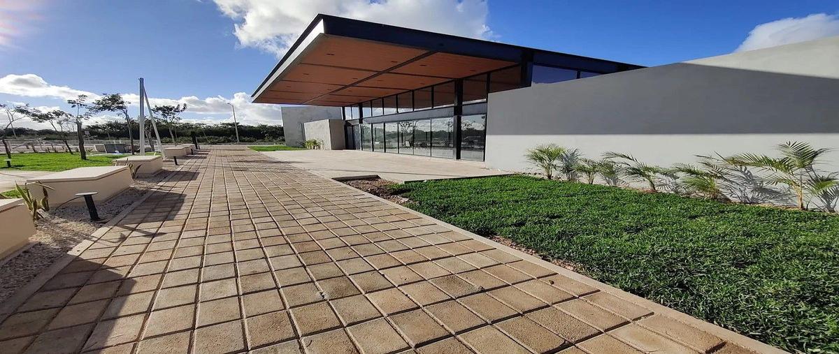 Foto de terreno habitacional en venta en s/c , cholul, mérida, yucatán, 0 No. 05