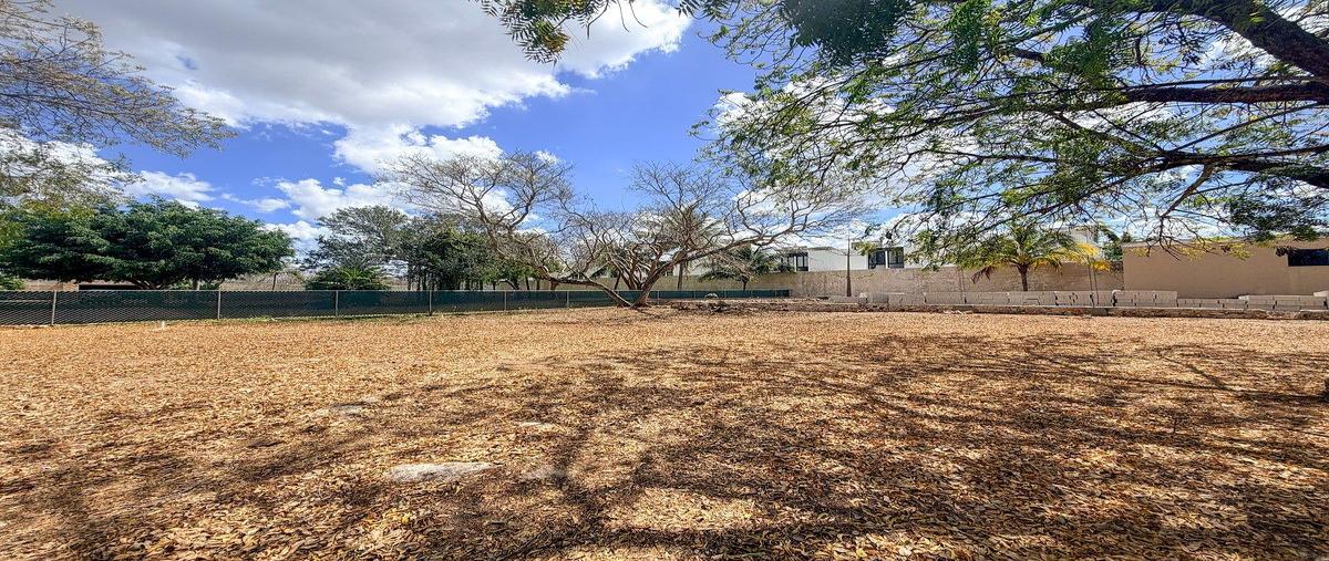 Foto de terreno habitacional en venta en s/c , dzitya, mérida, yucatán, 0 No. 03