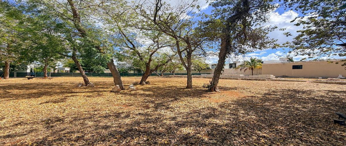 Foto de terreno habitacional en venta en s/c , dzitya, mérida, yucatán, 0 No. 04