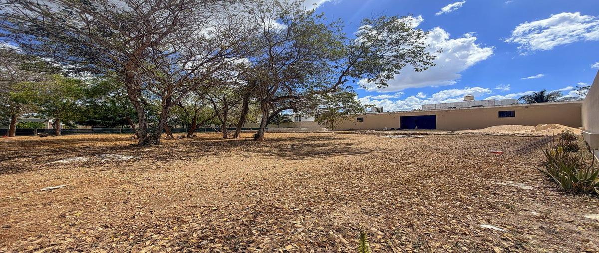 Foto de terreno habitacional en venta en s/c , dzitya, mérida, yucatán, 0 No. 05