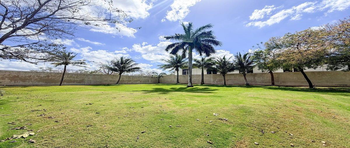 Foto de terreno habitacional en venta en s/c , dzitya, mérida, yucatán, 0 No. 03