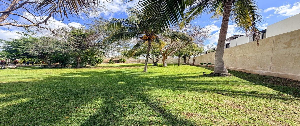 Foto de terreno habitacional en venta en s/c , dzitya, mérida, yucatán, 0 No. 05