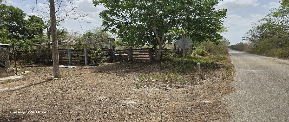Foto de rancho en venta en s/c , dzonot carretero, tizimín, yucatán, 0 No. 05