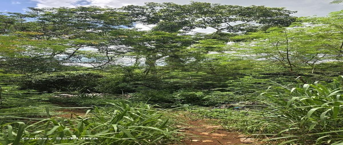 Foto de terreno habitacional en venta en s/c , ebtun, valladolid, yucatán, 0 No. 04