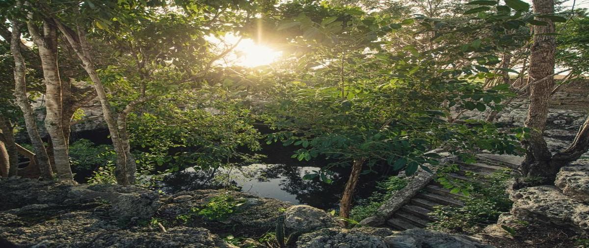 Foto de terreno habitacional en sc , espita, espita, yucatán, 25927129 foto 02 Foto de terreno habitacional en venta en sc , espita, espita, yucatán, 25927129 No. 02