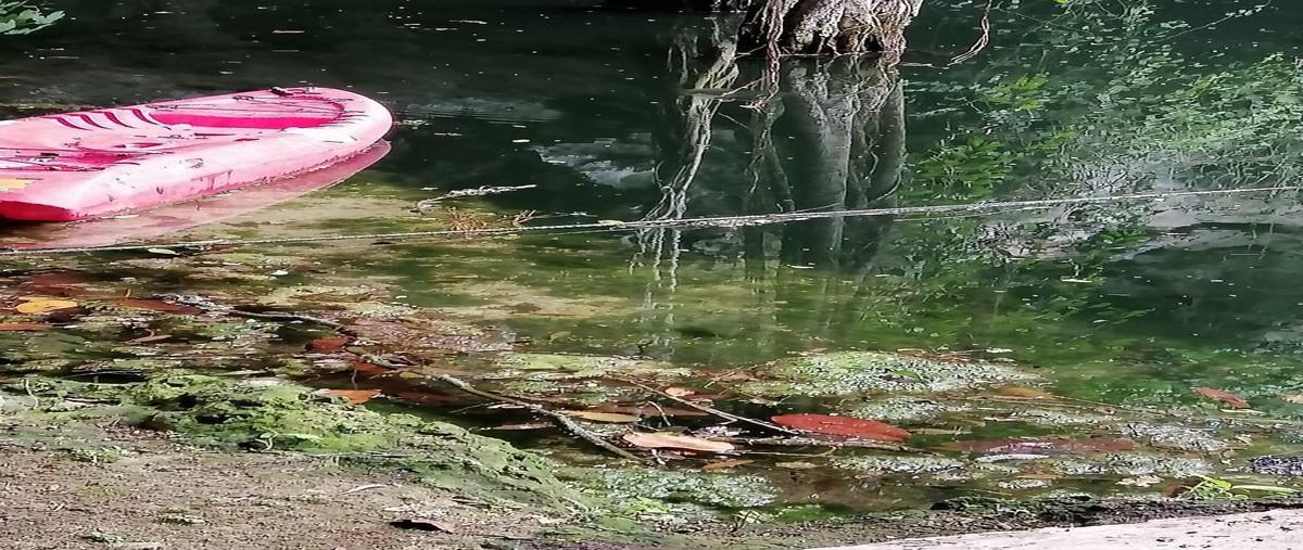 Foto de terreno habitacional en sc , espita, espita, yucatán, 25927129 foto 04 Foto de terreno habitacional en venta en sc , espita, espita, yucatán, 25927129 No. 04