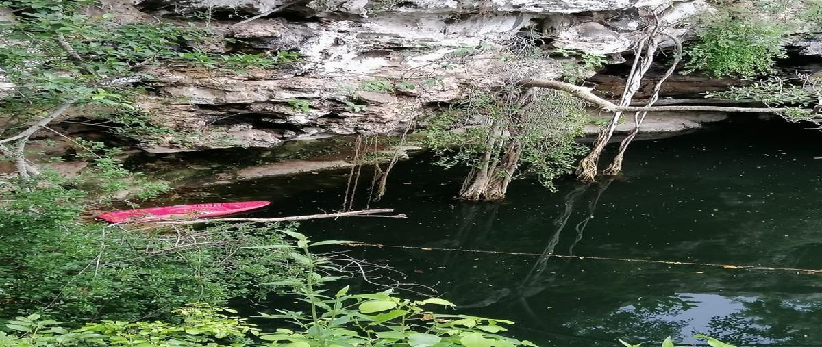 Foto de terreno habitacional en sc , espita, espita, yucatán, 25927129 foto 05 Foto de terreno habitacional en venta en sc , espita, espita, yucatán, 25927129 No. 05