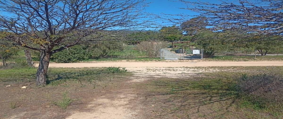 Foto de terreno habitacional en venta en sc , francisco zarco (valle de guadalupe), ensenada, baja california, 0 No. 01