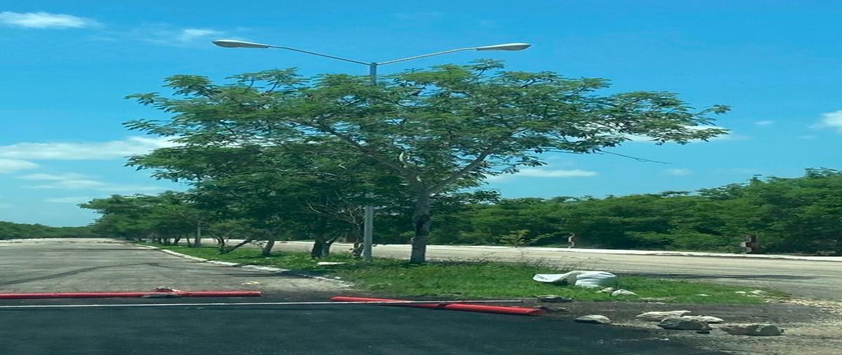 Foto de terreno habitacional en venta en s/c , kiktel, mérida, yucatán, 25826653 No. 05