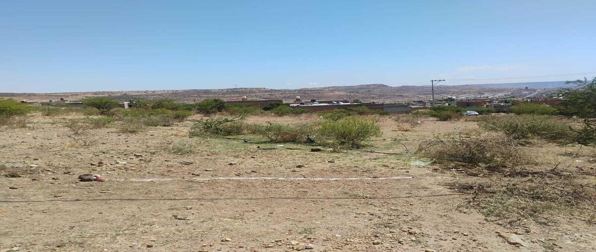 Foto de terreno habitacional en venta en s/c , morga, durango, durango, 0 No. 04