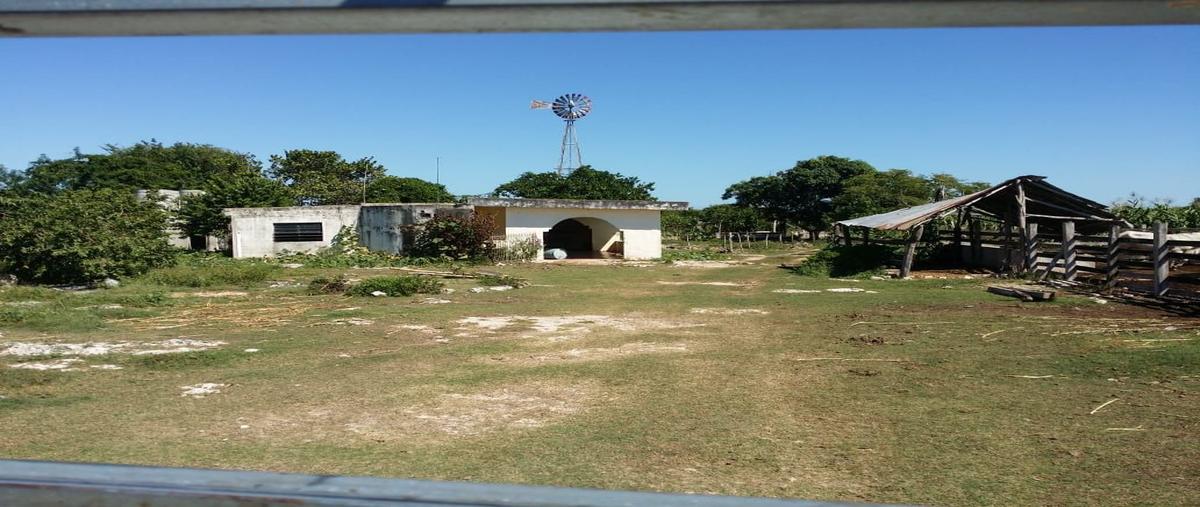 Foto de rancho en venta en s/c , san francisco, panabá, yucatán, 16261450 No. 03