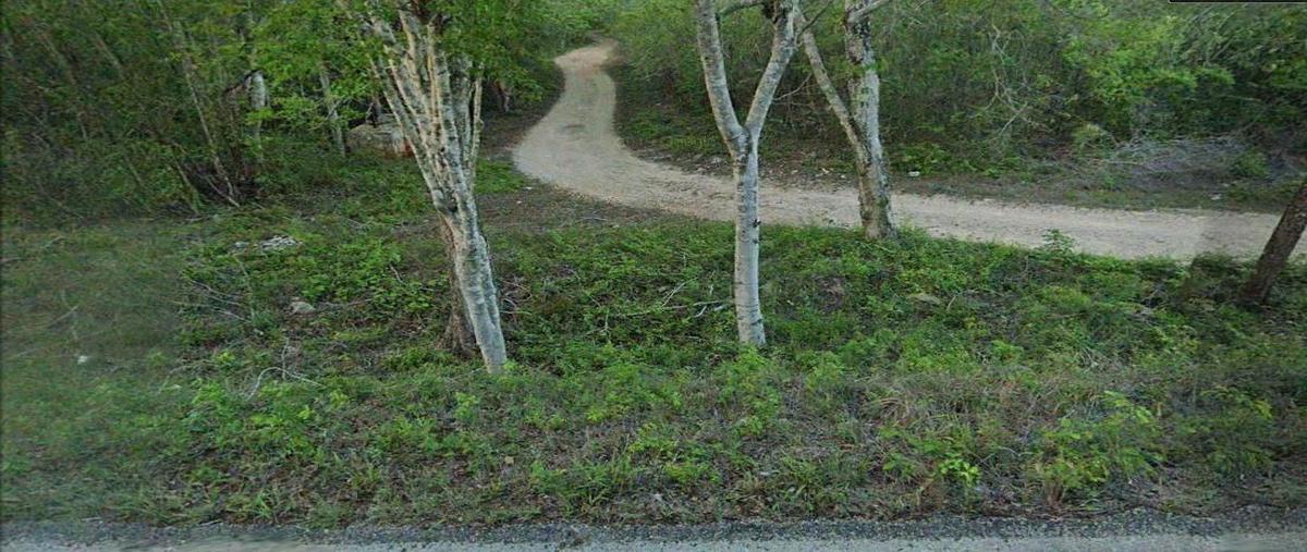 Foto de terreno habitacional en s/c , tinum, tinum, yucatán, 0 foto 01 Foto de terreno habitacional en venta en s/c , tinum, tinum, yucatán, 0 No. 01