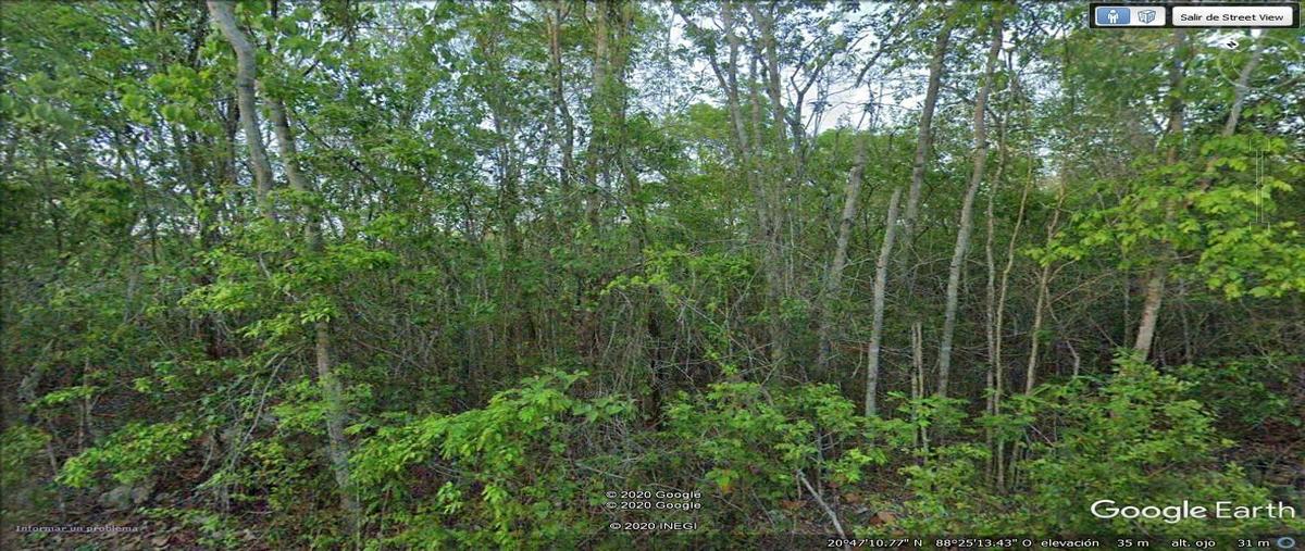 Foto de terreno habitacional en s/c , tinum, tinum, yucatán, 16261170 foto 03 Foto de terreno habitacional en venta en s/c , tinum, tinum, yucatán, 16261170 No. 03