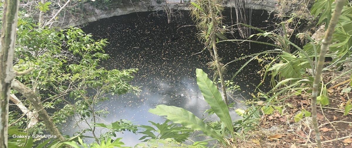 Foto de terreno habitacional en venta en s/c , yalcoba, valladolid, yucatán, 29458328 No. 03