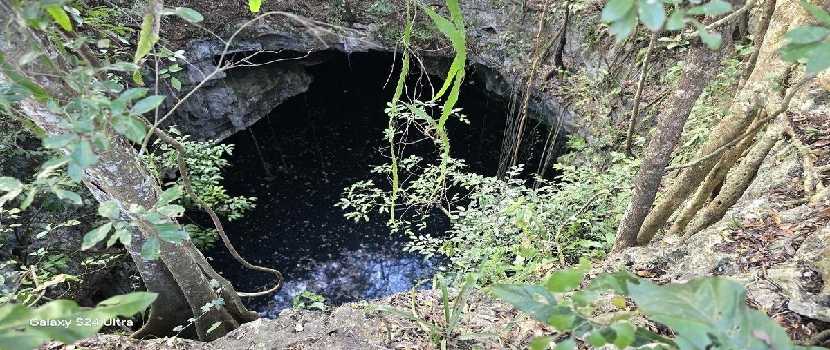 Foto de terreno habitacional en venta en s/c , yalcoba, valladolid, yucatán, 29458328 No. 05