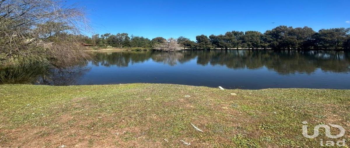 Foto de terreno habitacional en s/c , yerbabuena, tapalpa, jalisco, 0 foto 04 Foto de terreno habitacional en venta en s/c , yerbabuena, tapalpa, jalisco, 0 No. 04
