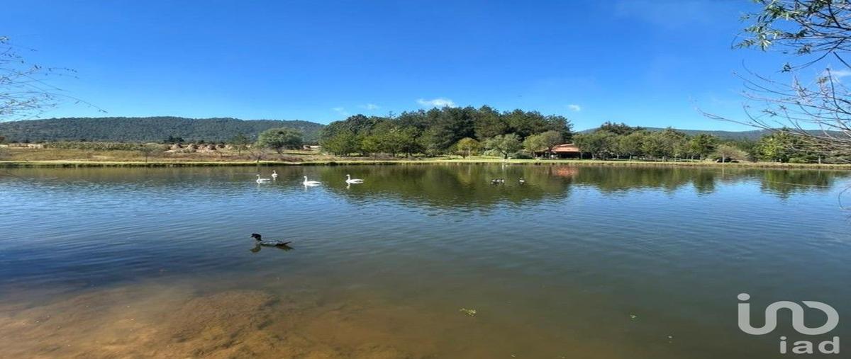 Foto de terreno habitacional en s/c , yerbabuena, tapalpa, jalisco, 0 foto 05 Foto de terreno habitacional en venta en s/c , yerbabuena, tapalpa, jalisco, 0 No. 05