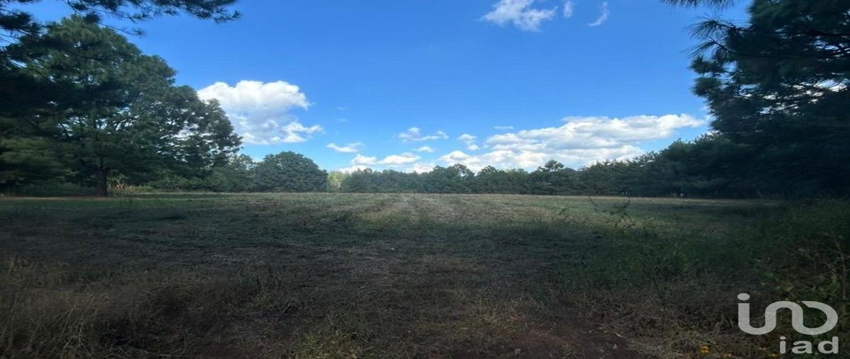 Foto de terreno habitacional en venta en s/c , yerbabuena, tapalpa, jalisco, 0 No. 04