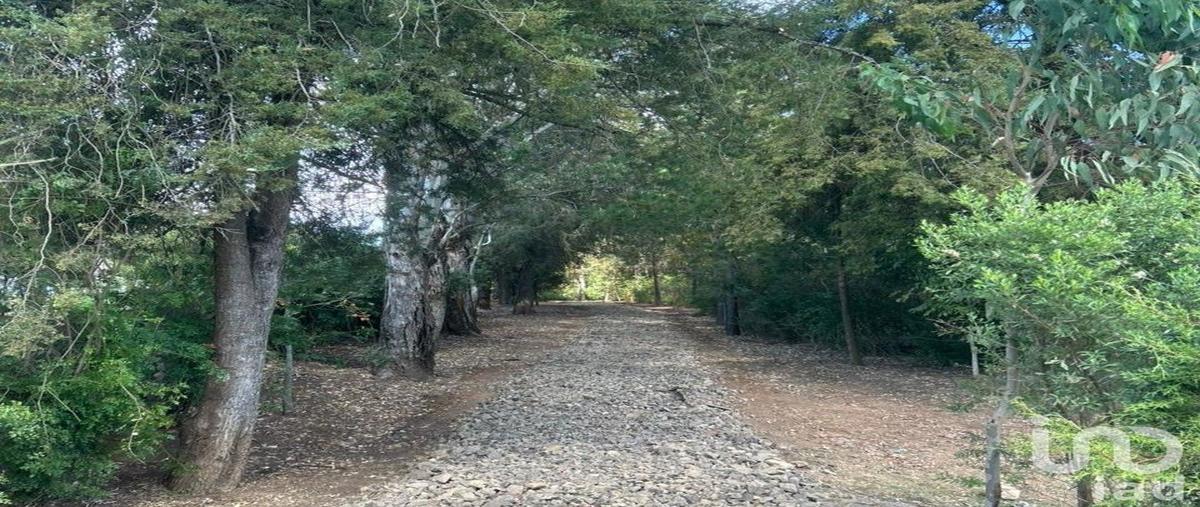 Foto de terreno habitacional en venta en s/c , yerbabuena, tapalpa, jalisco, 0 No. 05