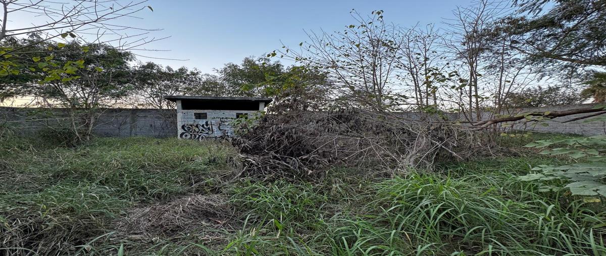 Foto de terreno habitacional en venta en  , sct, guadalupe, nuevo león, 31356039 No. 05