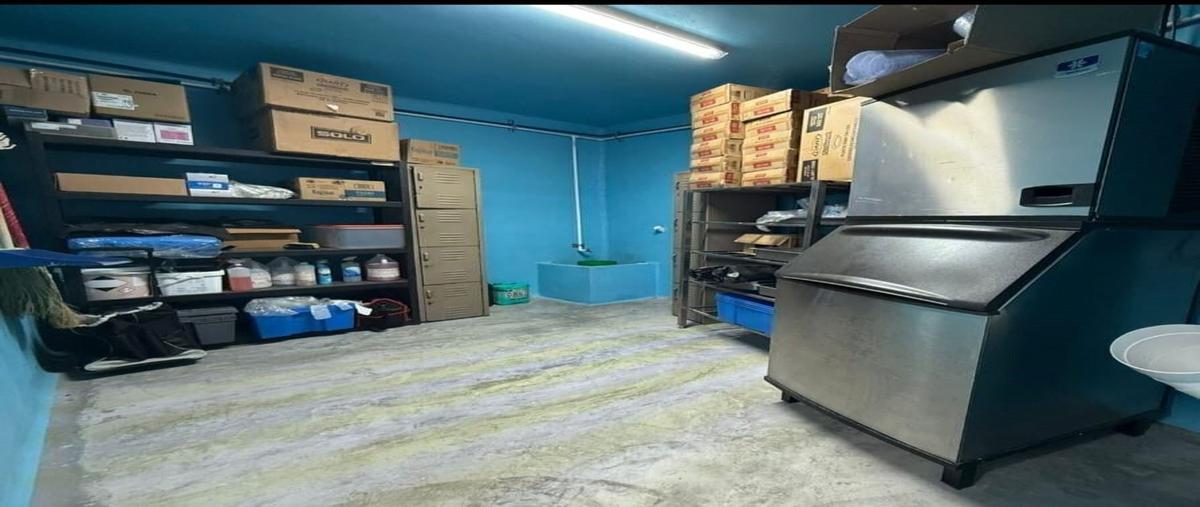 Foto de bodega en renta en s/d , ciudad guadalupe centro, guadalupe, nuevo león, 0 No. 05