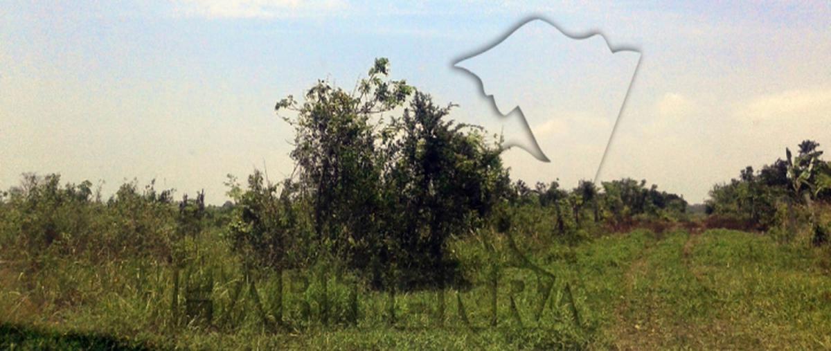 Foto de rancho en venta en se encuentras en el ejido la victoria y anexo, colonia , miguel hidalgo, tuxpan, veracruz de ignacio de la llave, 0 No. 02