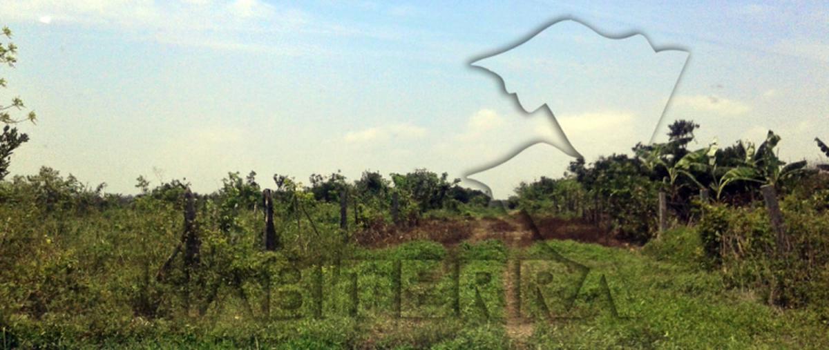 Foto de rancho en venta en se encuentras en el ejido la victoria y anexo, colonia , miguel hidalgo, tuxpan, veracruz de ignacio de la llave, 0 No. 03