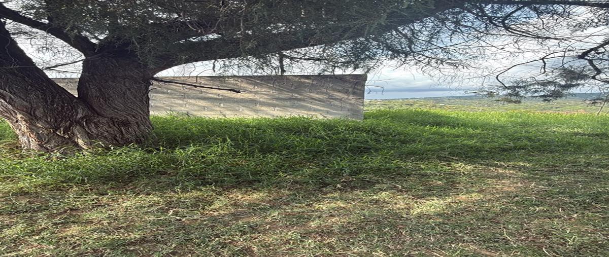 Foto de terreno habitacional en venta en sebastian lealva oriente , santa maría sur, tonatico, méxico, 0 No. 03