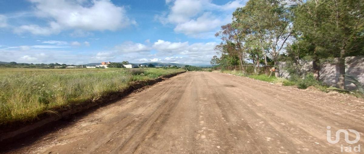 Foto de terreno habitacional en venta en sebastian lerdo de tejada , el durazno, san agustín tlaxiaca, hidalgo, 30278090 No. 03