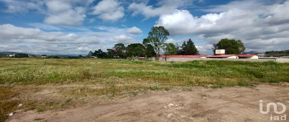 Foto de terreno habitacional en venta en sebastian lerdo de tejada , el durazno, san agustín tlaxiaca, hidalgo, 30278090 No. 05