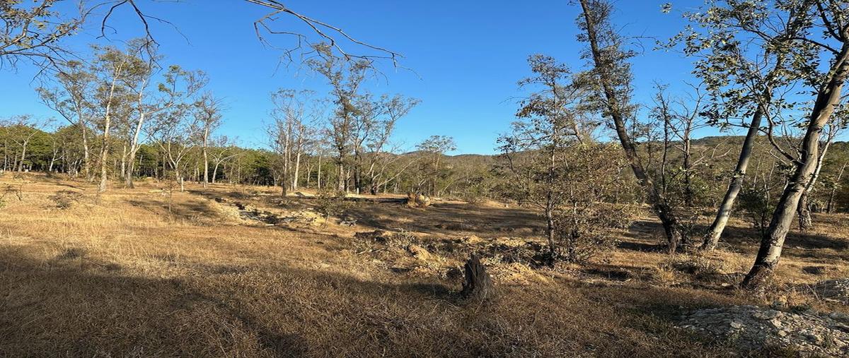Foto de terreno habitacional en venta en sección 2 pie pintado ejido tenencia morelos 75, michoacán, morelia, michoacán de ocampo, 0 No. 04