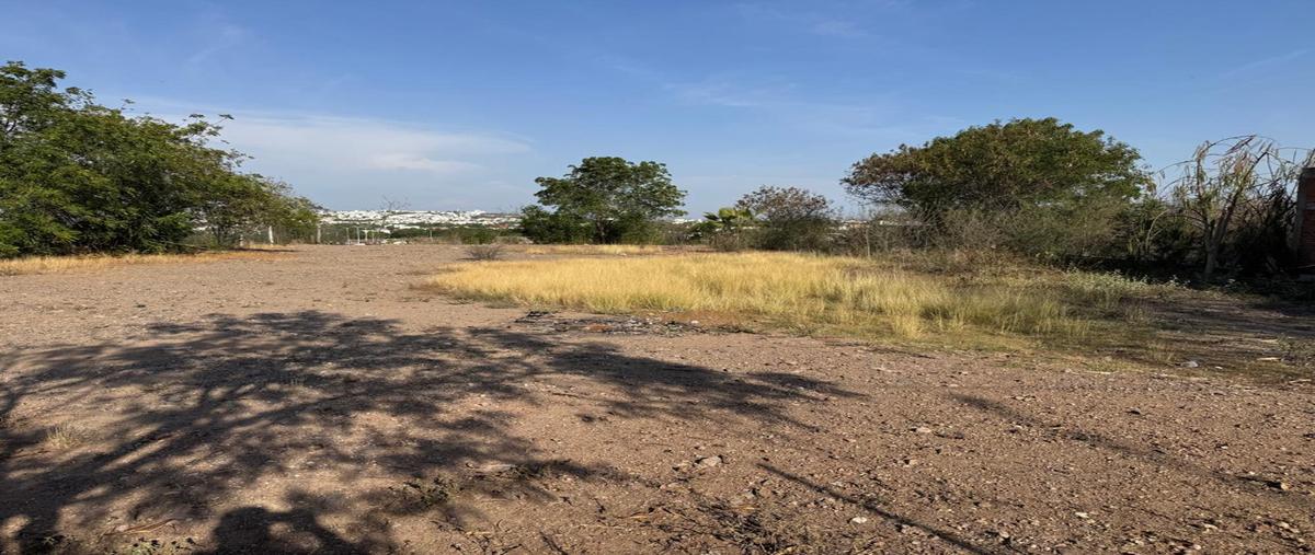 Foto de local en renta en  , sección cumbres, culiacán, sinaloa, 0 No. 03