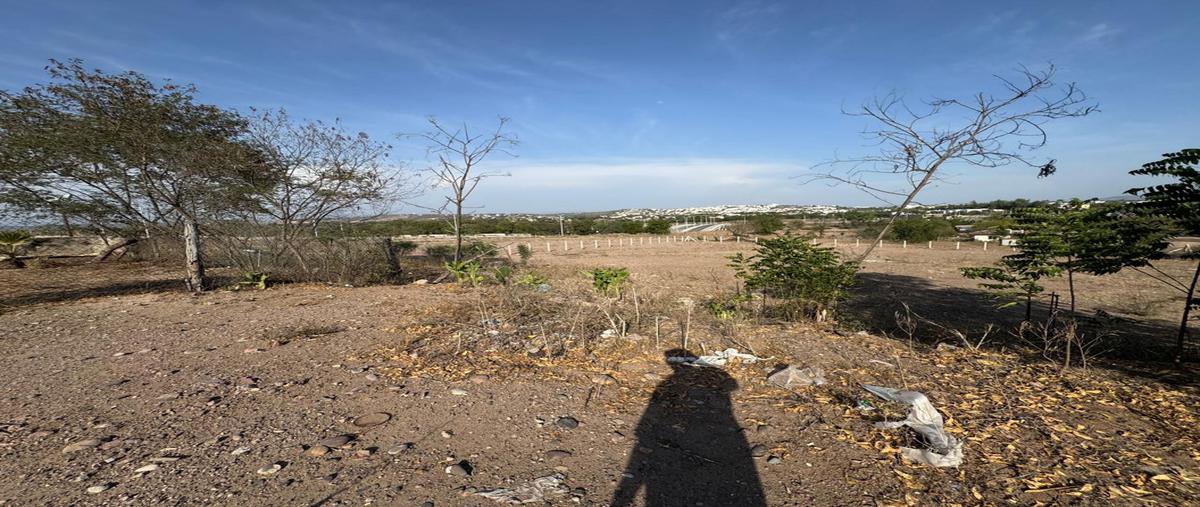 Foto de local en renta en  , sección cumbres, culiacán, sinaloa, 0 No. 04