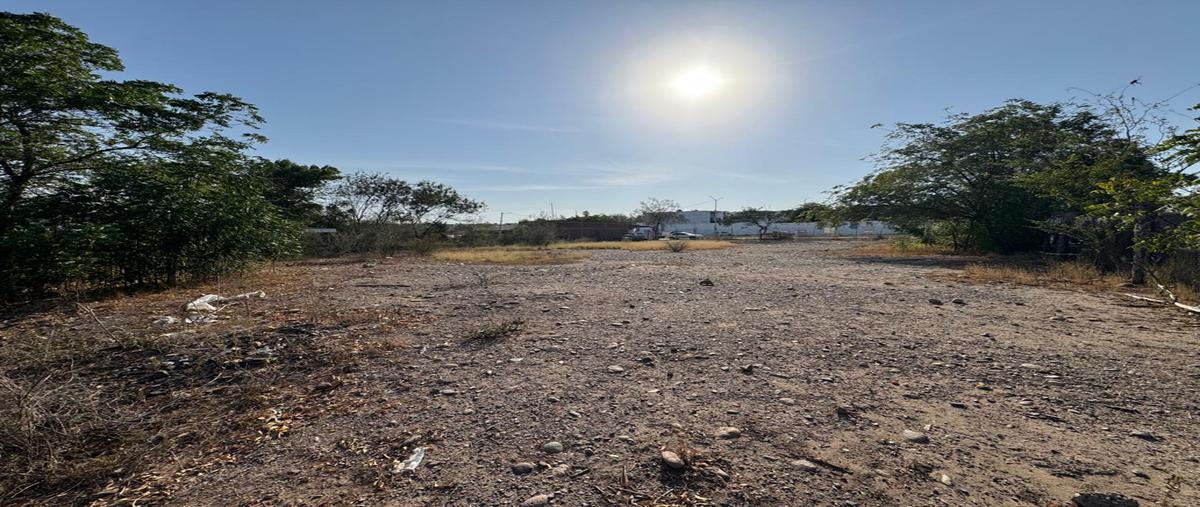 Foto de local en renta en  , sección cumbres, culiacán, sinaloa, 0 No. 05