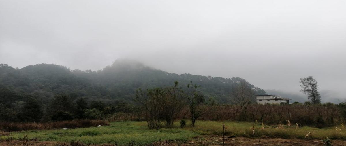 Foto de rancho en sección octava , san juan xiutetelco, xiutetelco, puebla, 23254485 foto 01 Foto de rancho en venta en sección octava , san juan xiutetelco, xiutetelco, puebla, 23254485 No. 01