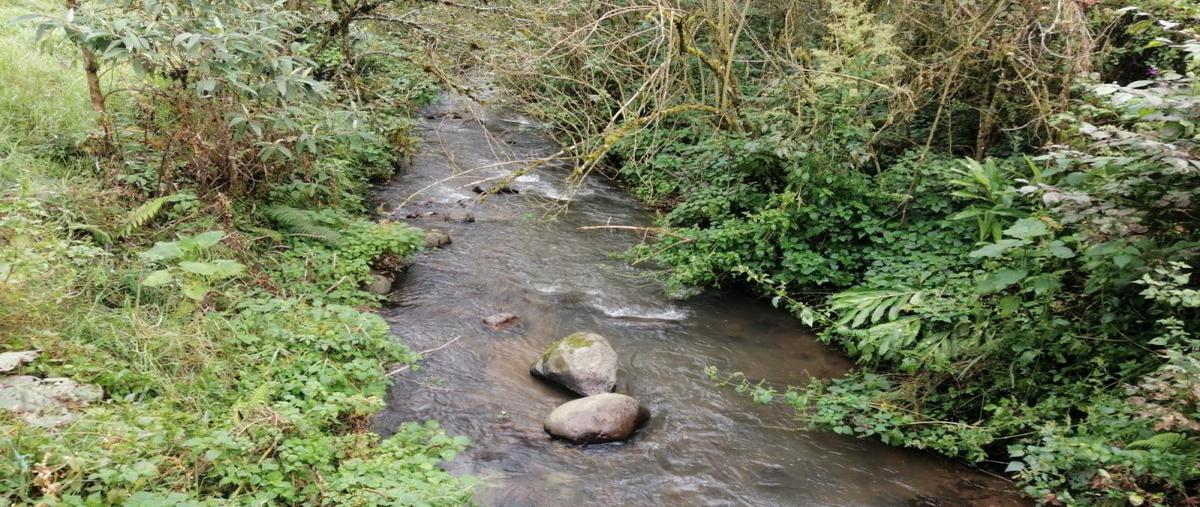 Foto de rancho en sección octava , san juan xiutetelco, xiutetelco, puebla, 23254485 foto 02 Foto de rancho en venta en sección octava , san juan xiutetelco, xiutetelco, puebla, 23254485 No. 02