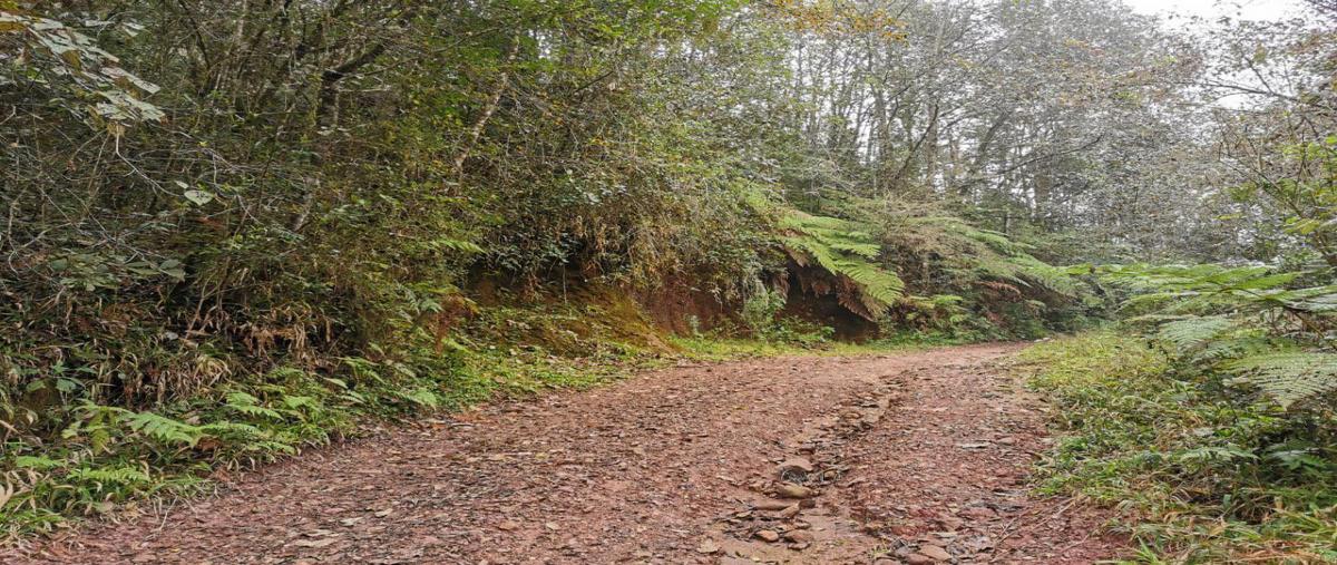 Foto de rancho en sección octava , san juan xiutetelco, xiutetelco, puebla, 23254485 foto 03 Foto de rancho en venta en sección octava , san juan xiutetelco, xiutetelco, puebla, 23254485 No. 03