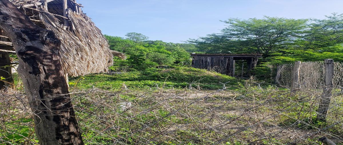 Foto de terreno habitacional en venta en  , sector k, santa maría huatulco, oaxaca, 0 No. 05