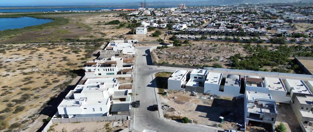 Foto de terreno habitacional en , sector la selva fidepaz, la paz, baja california sur, 30579259 foto 03 Foto de terreno habitacional en venta en , sector la selva fidepaz, la paz, baja california sur, 30579259 No. 03