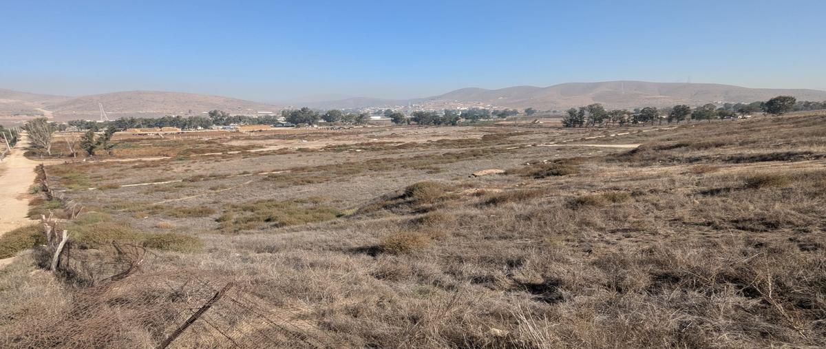 Foto de terreno habitacional en sector oeste y sur , parque industrial el bajío, tecate, baja california, 30799430 foto 04 Foto de terreno habitacional en venta en sector oeste y sur , parque industrial el bajío, tecate, baja california, 30799430 No. 04