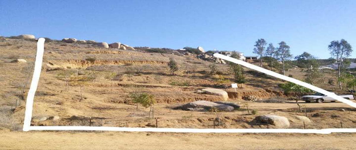 Foto de terreno habitacional en venta en sector oeste y sur rustico , ampliación colinas de cuchuma, tecate, baja california, 28218687 No. 01
