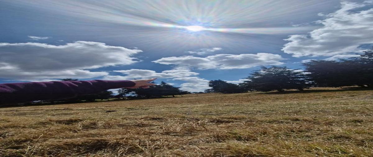 Foto de terreno habitacional en venta en  , sector sacromonte, amecameca, méxico, 0 No. 05