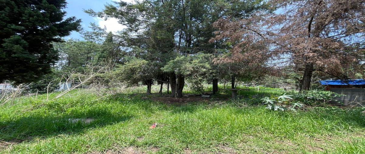 Foto de terreno habitacional en venta en segunda cerrada de leandro valle , leandro valle, tlalnepantla de baz, méxico, 25277966 No. 05