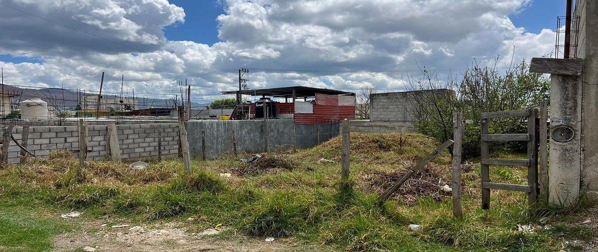 Foto de terreno habitacional en venta en segunda cerrada san josé , la quinta san martín, san cristóbal de las casas, chiapas, 0 No. 05