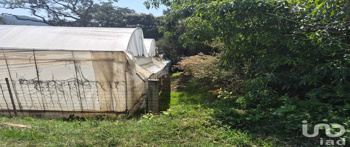 Foto de terreno habitacional en venta en segunda de zacanguillo , segunda de analco, coatepec harinas, méxico, 31121089 No. 03