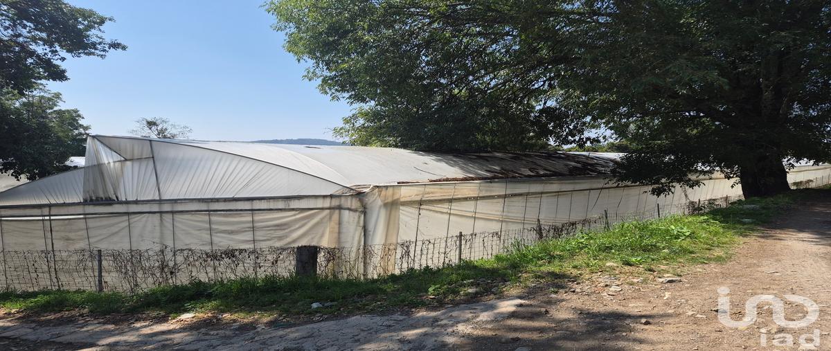 Foto de terreno habitacional en venta en segunda de zacanguillo , segunda de analco, coatepec harinas, méxico, 31121089 No. 04